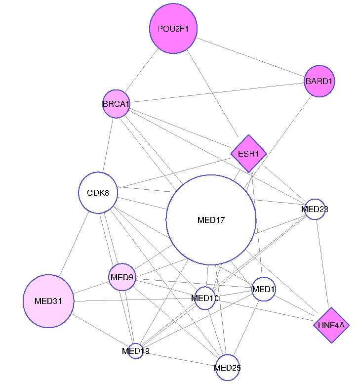 A subnetwork of the human protein interaction network associated with type II diabetes